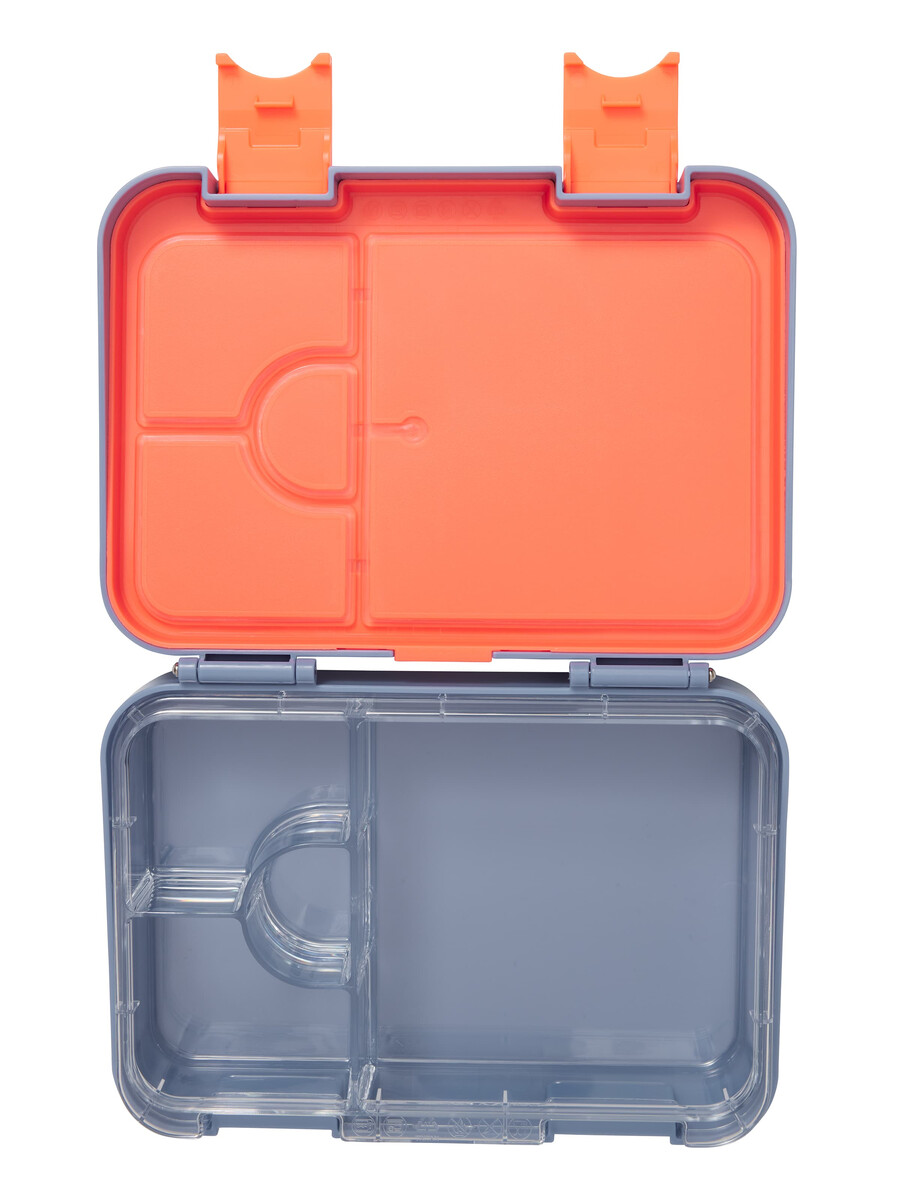 boîte à lunch bento moyenne neon splice