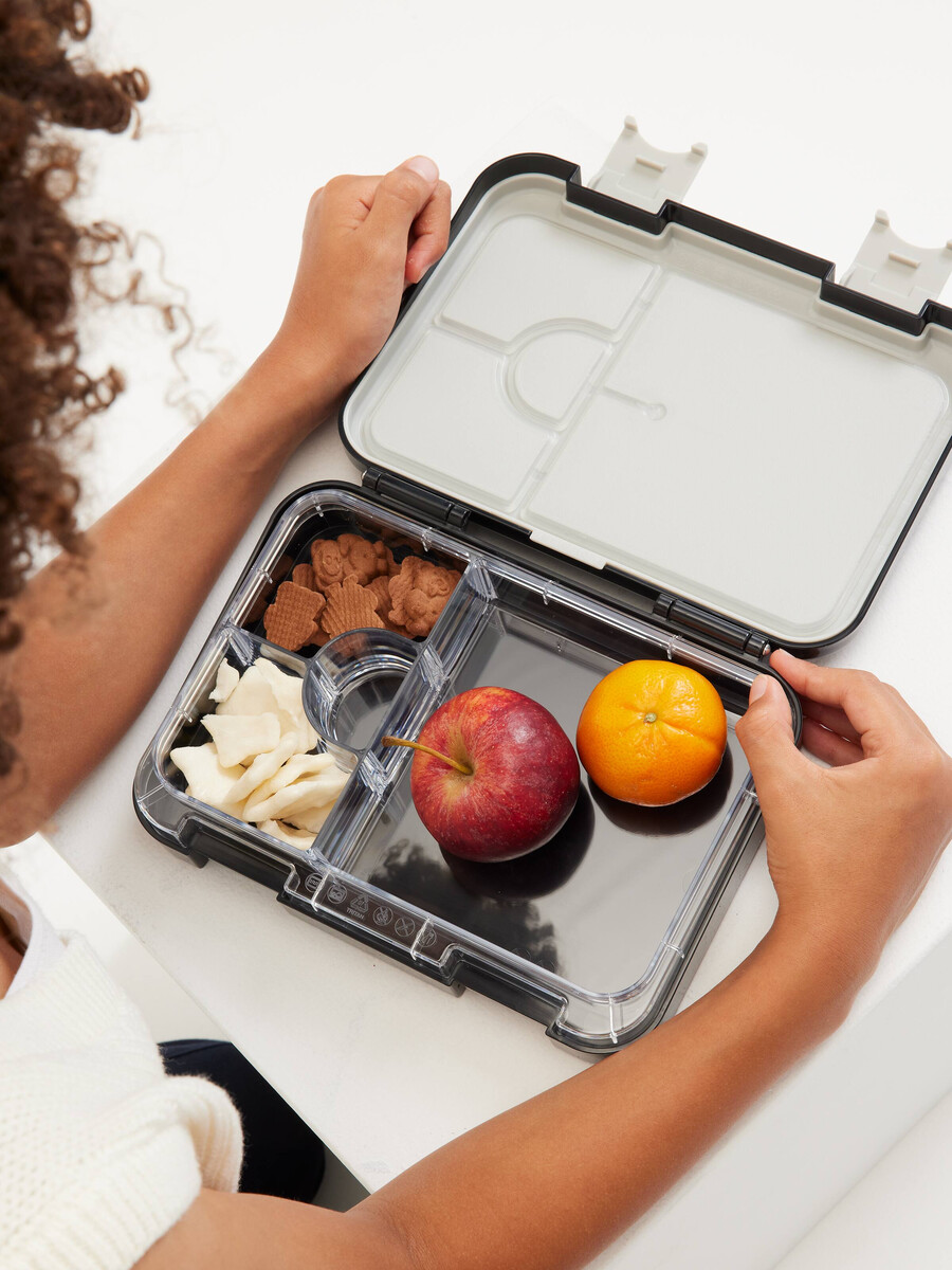 boîte à lunch bento eclipse moyenne