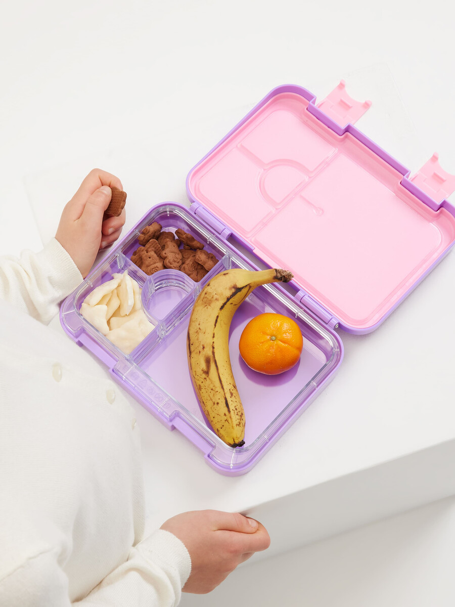 boîte à lunch bento eclipse moyenne