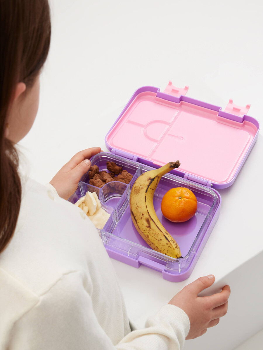 boîte à lunch bento eclipse moyenne