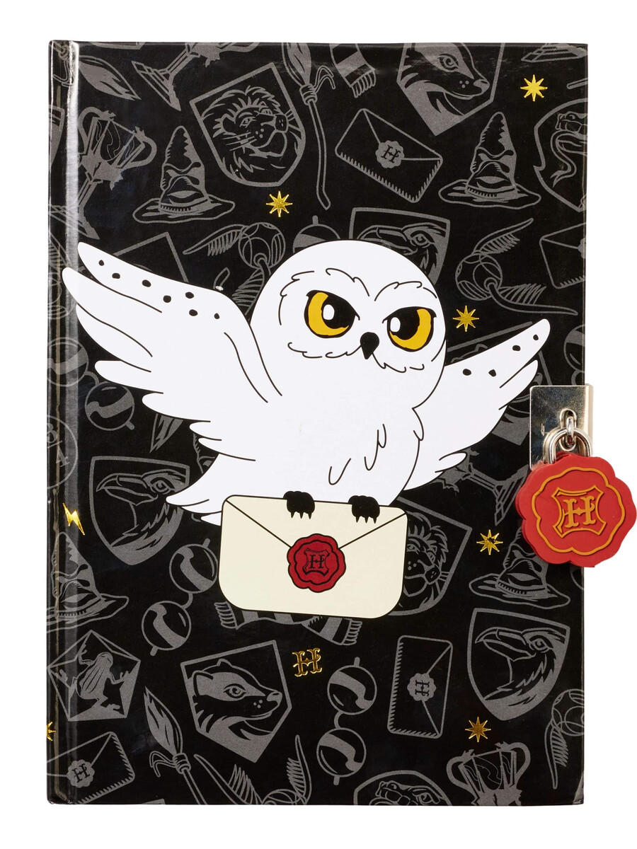 carnet harry potter a5 à cadenas