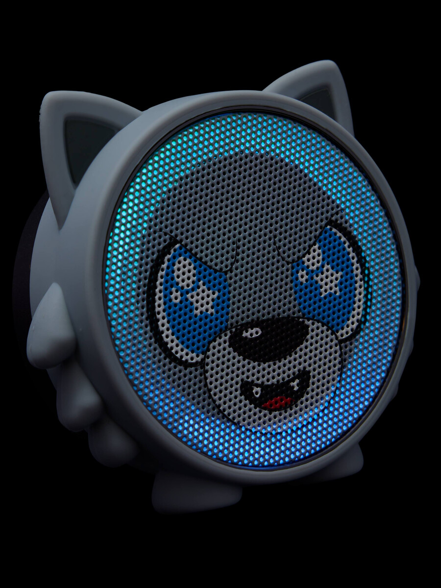 enceinte sans fil character